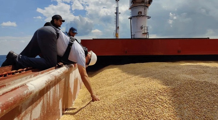 Russia halts participation in Ukraine grain agreement